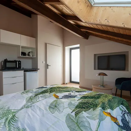 בית הארחה La Petite Vosgienne 3*