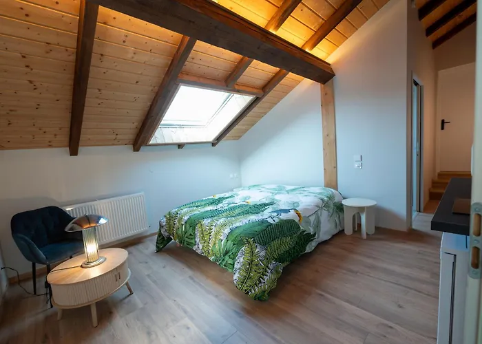 Гостевой дом La Petite Vosgienne Aydoilles